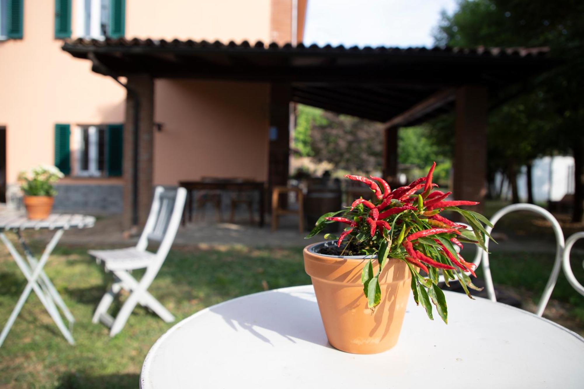Country Boutique Paradiso Valmadonna Zewnętrze zdjęcie